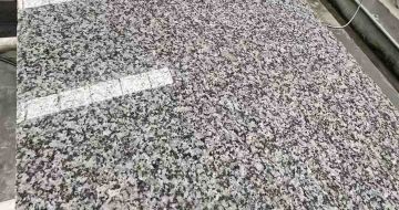 枣庄 芙蓉白光面