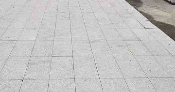 枣庄芝麻白地铺案例