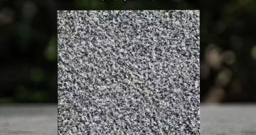 枣庄 芝麻黑荔枝面