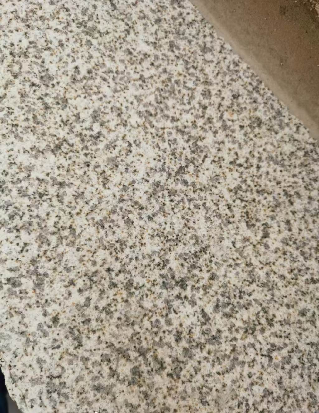 枣庄 黄金麻中黄光面