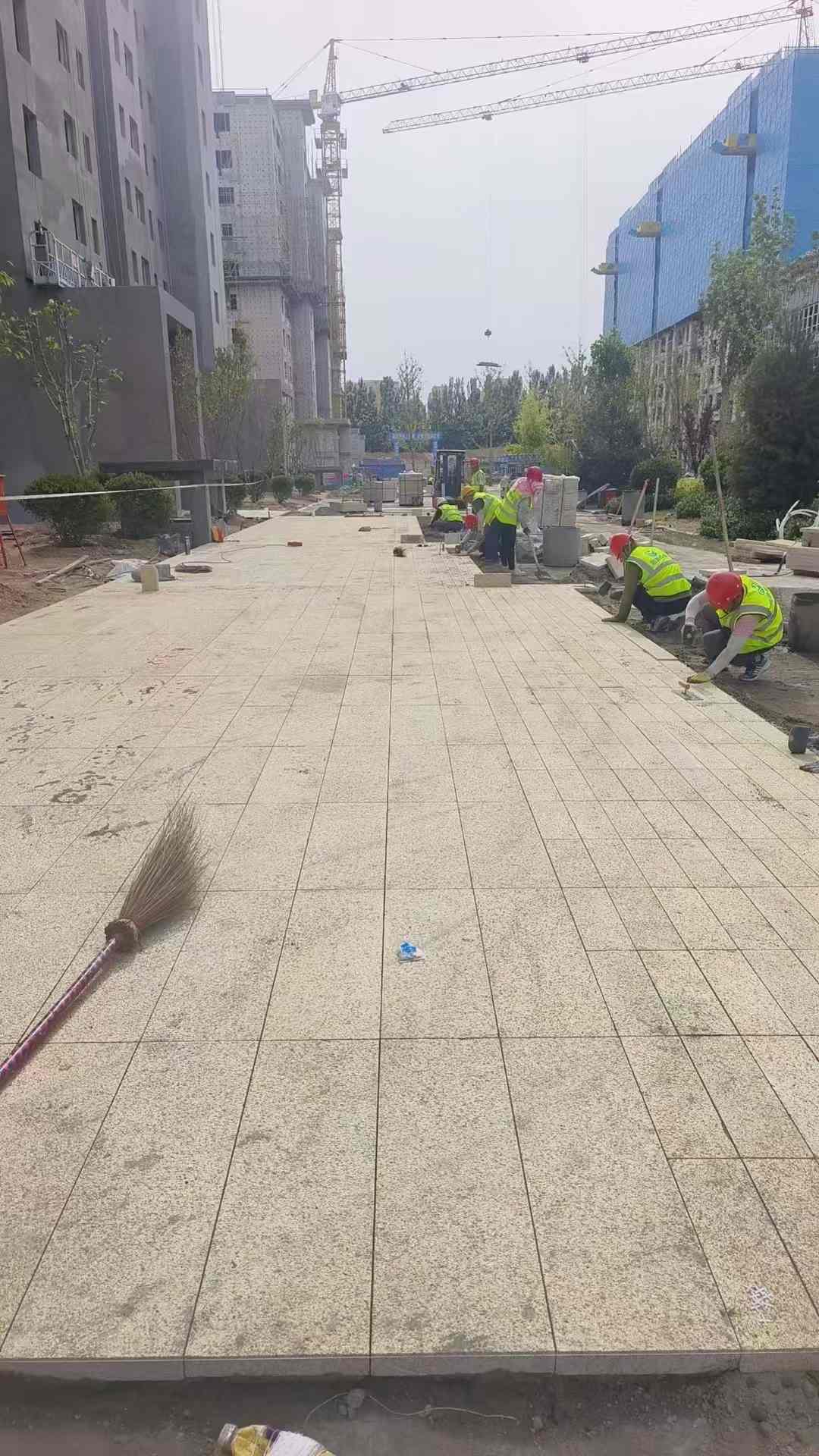 枣庄黄金麻荔枝面地铺案例