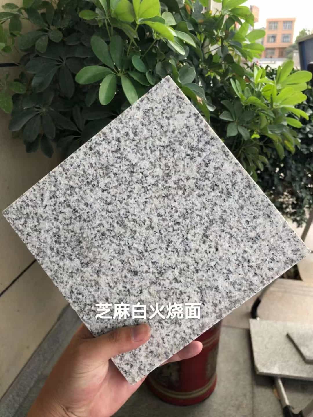 枣庄芝麻白火烧面地铺