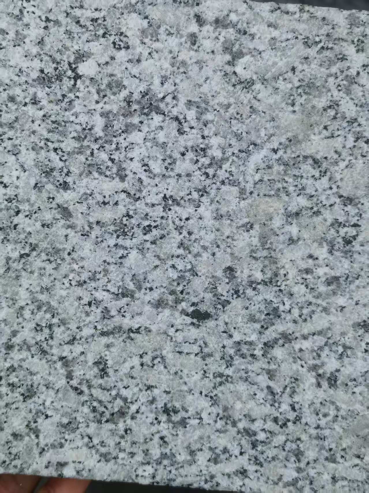 枣庄 芙蓉白火烧面